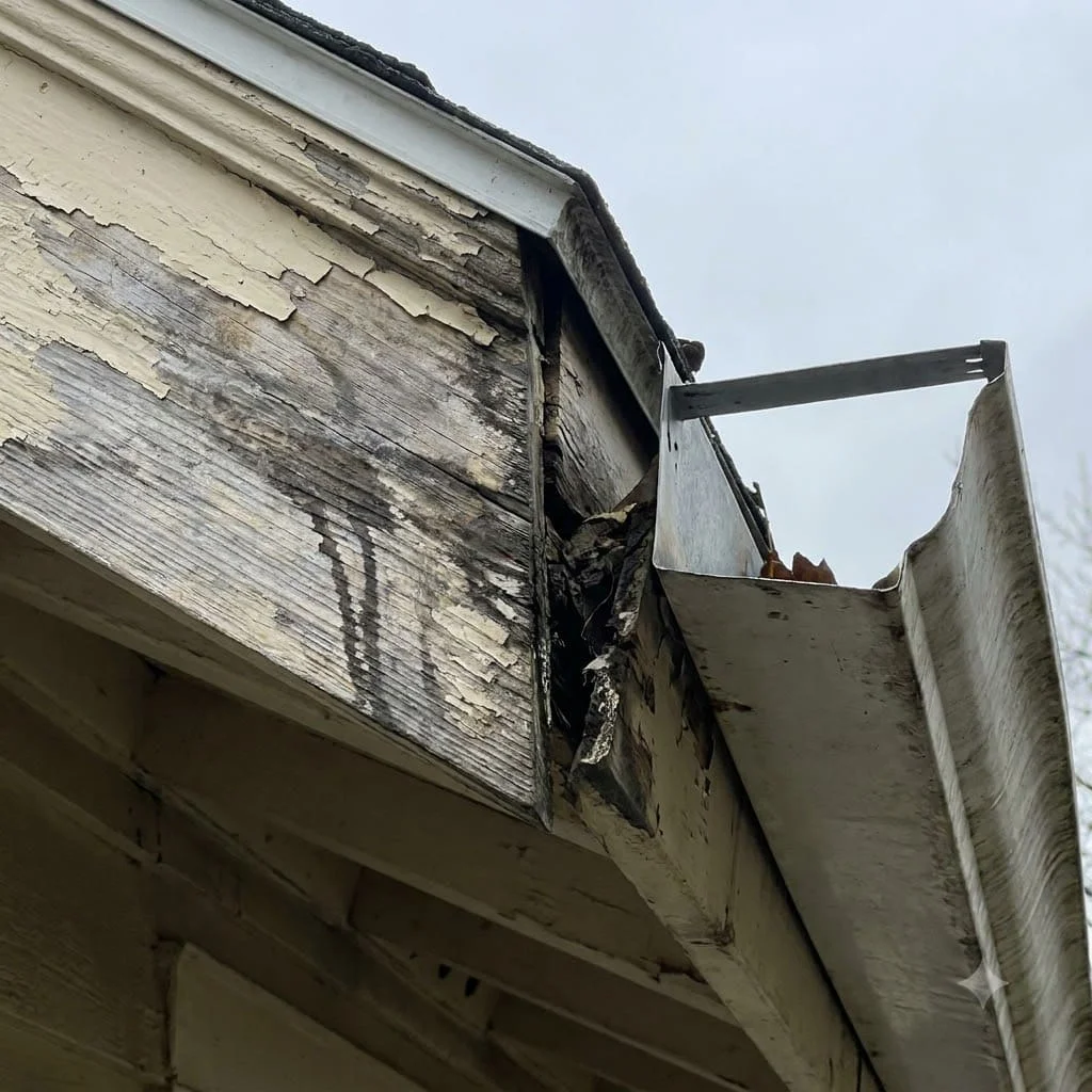 Gutter pulled away from the wall exposing water-damaged fascia board behind it